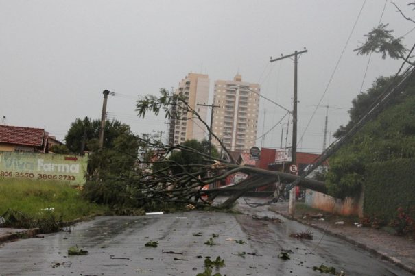 estragos chuva_fernando surur (98)