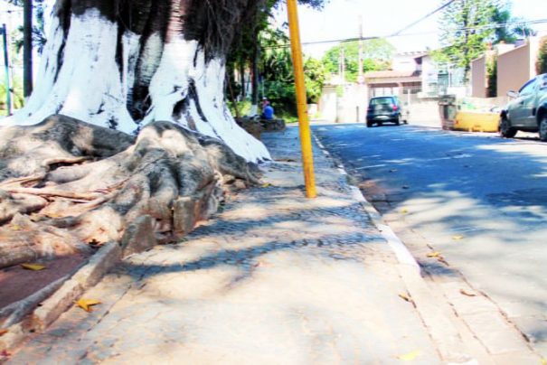 Verba será destinada às obras de acessibilidade e revitalização do Jardim Velho (Foto: Fernando Surur)