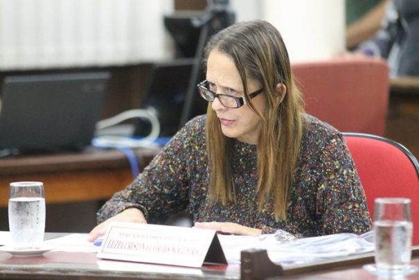 Representação foi encaminhada ao MP pela vereadora Luzia (PSB) (Foto: Arquivo)