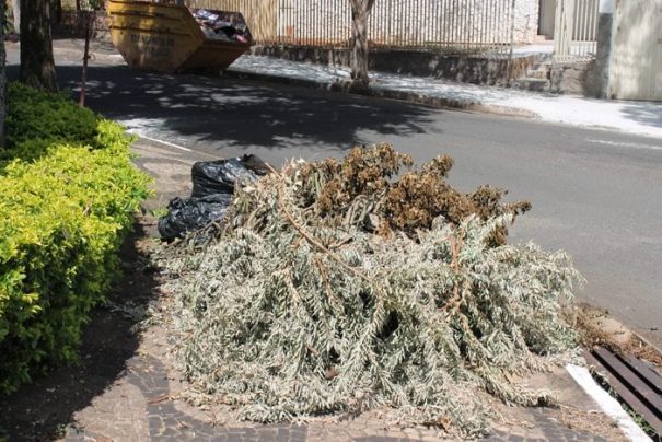 Munícipes não poderão atear fogo em restos de galhos e folhas (Foto: Arquivo)