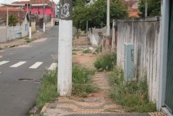 Calçada na Rua dos Expedicionários: vários pontos com mato (Foto: Ana Paula Meneghetti)