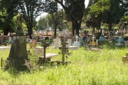 Cemitério da Saudade abriga cerca de 43 mil sepulturas (Foto: Ana Paula Meneghetti)