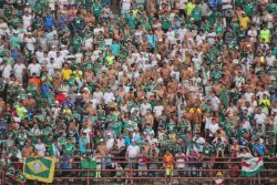 Torcida palmeirense festejou a classificação: estádio recebeu 7.759 pagantes. (Foto: Diego Ortiz)