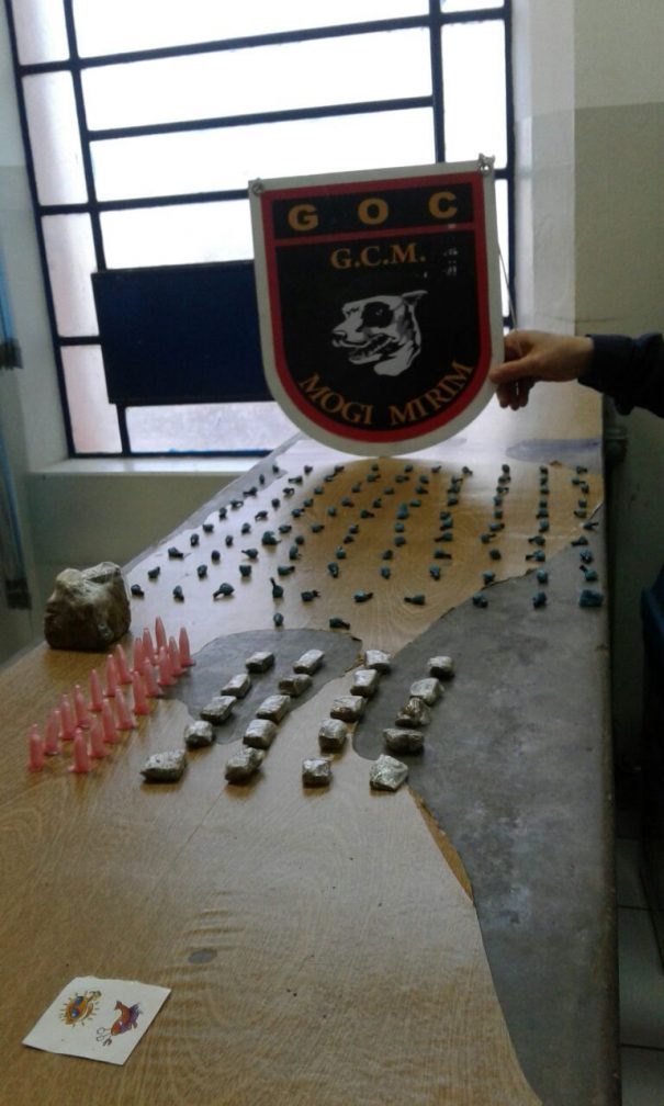 Cocaína, crack e maconha foram encontradas em um matagal. (Foto: Divulgação)