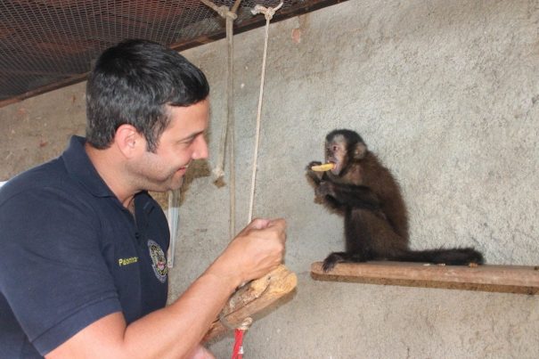 Mané Palomino alimenta Chiquinho com frutas, no viveiro preparado para o primata. (Foto: Diego Ortiz)